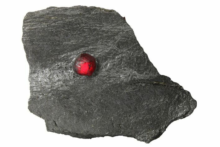 Red Embers Garnet in Graphite - Massachusetts #272750